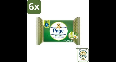 Page – Vochtig Toiletpapier – Aloe Vera – 38 doekjes - Voordeelverpakking - 6 stuks - Aloë vera toilet papier - Biologisch afbreekbaar toilet papier