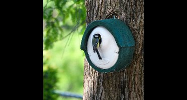 CJ Wildlife Nestkast - Aanbevolen door de Vogelbescherming Nederland - Alicante - Nestkastje voor o.a. Koolmees, Boomklevers & Mussen - Woodstone Vogelhuisje - FSC-gecertificeerd - Groen