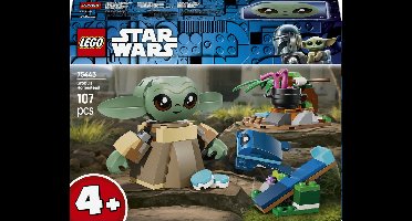 LEGO Star Wars Grogu's Homestead - 75443