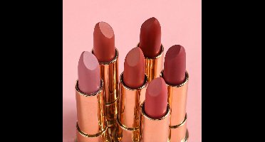Long Lasting Lipstick up – Matte Finish – High Pigment – Non-Transfer – Vegan – Lina Beauty