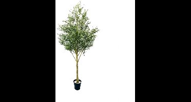 Kunstboom Olijf - 310 cm