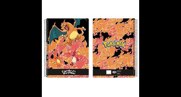 Pokemon - Charmander Charmeleon Charizard Evolution - A4 Notitieboek - 4mm Ruit - 80 vel