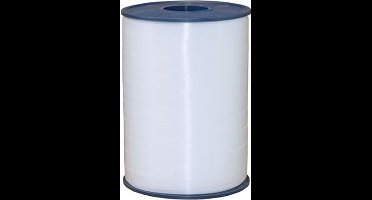 Lint 250 Meter 10 mm breed Polyester Wit polyband.