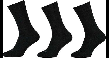 Apollo - 6-Pack - Merino Werksokken - Badstof Voetbed - Antibacterieel - Heren - antraciet - 39-42 - 120103000