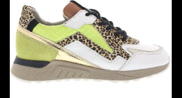 Dames Sneakers Piedi Nudi Selva 2507-17.11pn Groen - Maat 39