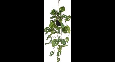 Emerald - Kunst Hangplant in pot Monstera Monkey 80cm - Kunstplant voor binnen