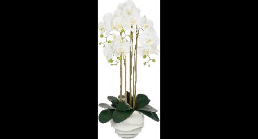 Mica Decorations Kunstplant Phalaenopsis - 40x34x82 cm - Polyester - Wit
