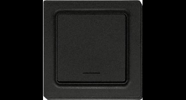 Eltako F1T55E-am Toets Draadloos 1-kanaals Opbouw (op muur) Bereik max. (in het vrije veld) 30 m