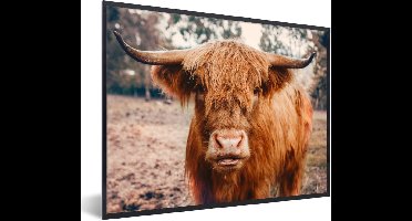 PosterMonkey - Fotolijst - Schotse hooglander - Dieren - Koe - Poster - Poster met kader - Foto in lijst - 40x30 cm - Poster dieren - Poster Schotse hooglander - Wanddecoratie - Posterlijst