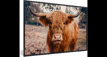PosterMonkey - Fotolijst - Schotse hooglander - Dieren - Koe - Poster - Poster met kader - Foto in lijst - 60x40 cm - Poster dieren - Poster Schotse hooglander - Wanddecoratie - Posterlijst