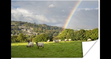 Poster De schapen op een weiland naast een regenboog - 30x20 cm