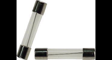 UNIVERSEEL - GLASZEKERING GROOT-MODEL 10 A -