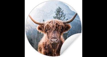 WallCircle - Muurstickers - Behangcirkel - Schotse hooglander - Natuur - Bergen - ⌀ 30 cm - Muurcirkel - Zelfklevend - Ronde Behangsticker