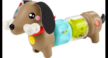 Fisher-Price Pets Klikken en Draaien Puppy - Zintuiglijk spel
