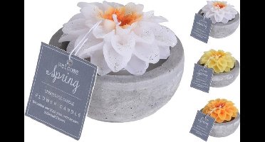 Kaars - bloemkaarsen in cementen Pot per 3 stuks - kaars - decoratie woonkamer