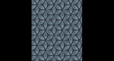 Hexagone dessin zwart/blwgrijs modern (vliesbehang, zwart)