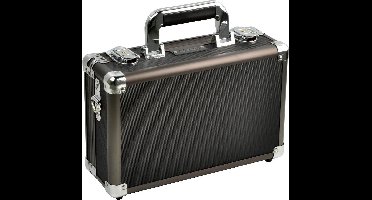 DESQ® 3658 -Transportkoffer | Plukschuim en Vakindeling | Afsluitbaar | 33 x 26 x 13 cm