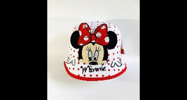 Minnie Mouse hoed wit maat 50