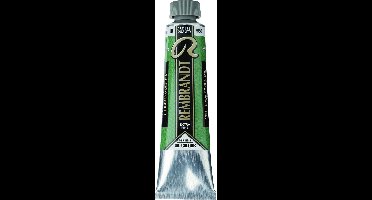 Rembrandt Olieverf |Chromium Oxide Green (668) 15 ml