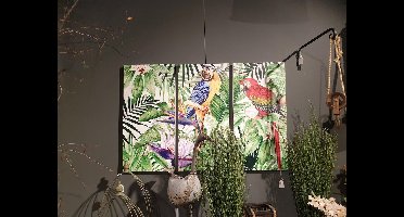 Van Manen   Wanddecoratie Jungle Papegaai 3-luik