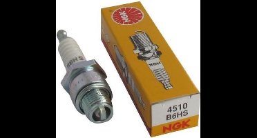 GARDEN PRATIC Bougie voor trimmer NGK B6HS