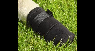 Beeztees Hond Beschermingsschoenen XXL - Hondensokken - pootbeschermer - Zwart - 2ST - 21x10x10 CM