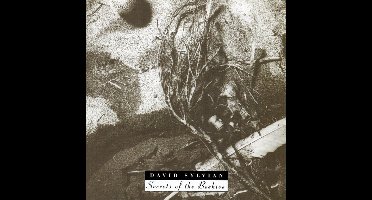 Secrets Of The Beehive