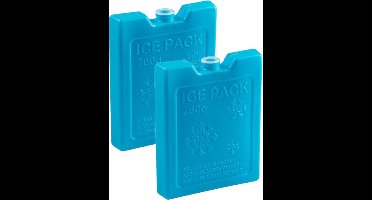 2x stuks 260 grams koelelementen 13 x 10.5 x 2 cm blauw plastic