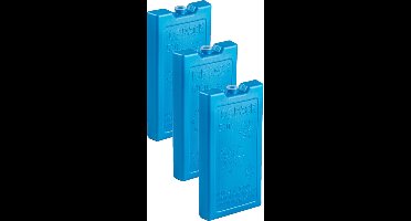 Plasticforte 500 grams koelelementen - 6x stuks - 20 x 10 x 2 cm - blauw - met sneeuwvlokken print