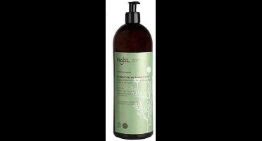 Najel 2 in 1 Shampoo Normaal haar