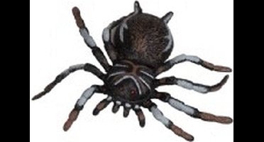 Horror nep decoratie spin Sebastiaan 13 cm - Halloween spinnen versiering - Elastische spin met lange poten