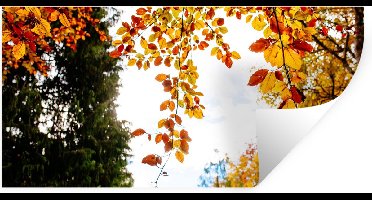 Muurstickers - Sticker Folie - Herfst - Bladeren - Natuur - 40x20 cm - Plakfolie - Muurstickers Kinderkamer - Zelfklevend Behang - Zelfklevend behangpapier - Stickerfolie