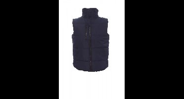 Payper Daytona - navy dress blue/royal blue - XL