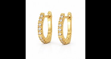 Oorbellen- Goudkleurig - Verguld - Roestvrijstalen oorbellen - sieraden – Cadeau tip – Hip - Trendy