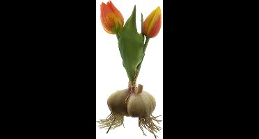 Kunst Tulpen met Bol x2 orange - 18 cm-Real Touch Tulpen -Kunstbloemen - Kunst Tulpen - Kunst Boeket - Tulp - Latex Bloem - Bruiloft