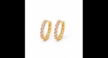 Oorbellen- Lichtroze - Goudkleurig - Zirkonia- Verguld - Roestvrijstalen oorbellen - sieraden – Cadeau tip – Hip - Trendy