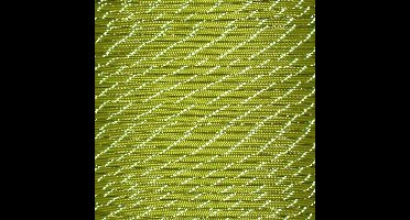 Rol 100 meter - Lime Groen Reflecterend Paracord 550 - #60