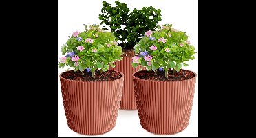 Prosperplast Plantenpot/bloempot Buckingham - 3x - buiten/binnen - steenrood - D17 x H15 cm