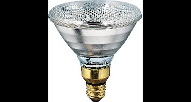 Philips - Warmtelamp E 175w Wit Energiebesparend