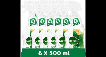 Dettol Allesreiniger Spray - Tru Clean - Mandarijn & Citroenbloesem - 6x500ml Voordeelverpakking