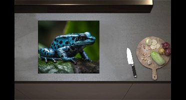 Inductieplaat Beschermer - Blauwe zwart gestipte gif kikker zit op blad - 59x51 cm - 2 mm Dik - Inductie Beschermer - Bescherming Inductiekookplaat - Kookplaat Beschermer van Wit Vinyl