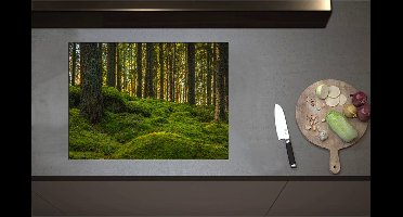 Inductieplaat Beschermer - Bomen in Bos bij Groen Begroeide Ondergrond - 71x52 cm - 2 mm Dik - Inductie Beschermer - Bescherming Inductiekookplaat - Kookplaat Beschermer van Zwart Vinyl