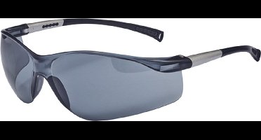 Veiligheidsbril SW Scheur donker