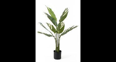 Present Time Kunstplant Calathea - Groen - 63x63x90cm - Modern