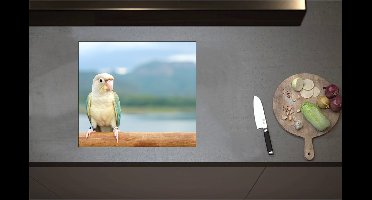 Inductieplaat Beschermer - Beige met Turqoise Mini Papegaai op Tak voor Gebergte - 57x51 cm - 2 mm Dik - Inductie Beschermer - Bescherming Inductiekookplaat - Kookplaat Beschermer van Wit Vinyl