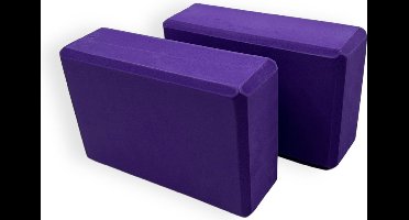 Padisport - Yoga blok - 23x15x6.5 cm - Anti slip materiaal