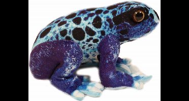 Pia soft Toys Knuffeldier Kikker - gifkikker tinctorius azureus - premium kwaliteit knuffels - blauw - 24 cm