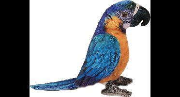 Pia Soft Toys Knuffeldier Papegaai - zachte pluche stof - premium kwaliteit knuffels - blauw/geel - 20 cm - Papegaaien