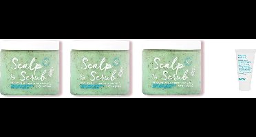 3 x Umberto Giannini - Exfoliating Anti-Dandruff Scalp Scrub - 200ml + WILLEKEURIG Travel Size