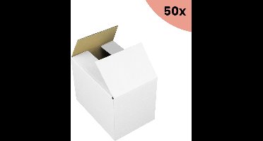 50x Verzenddoos Raadhuis 190x142x100mm EB-golf wit